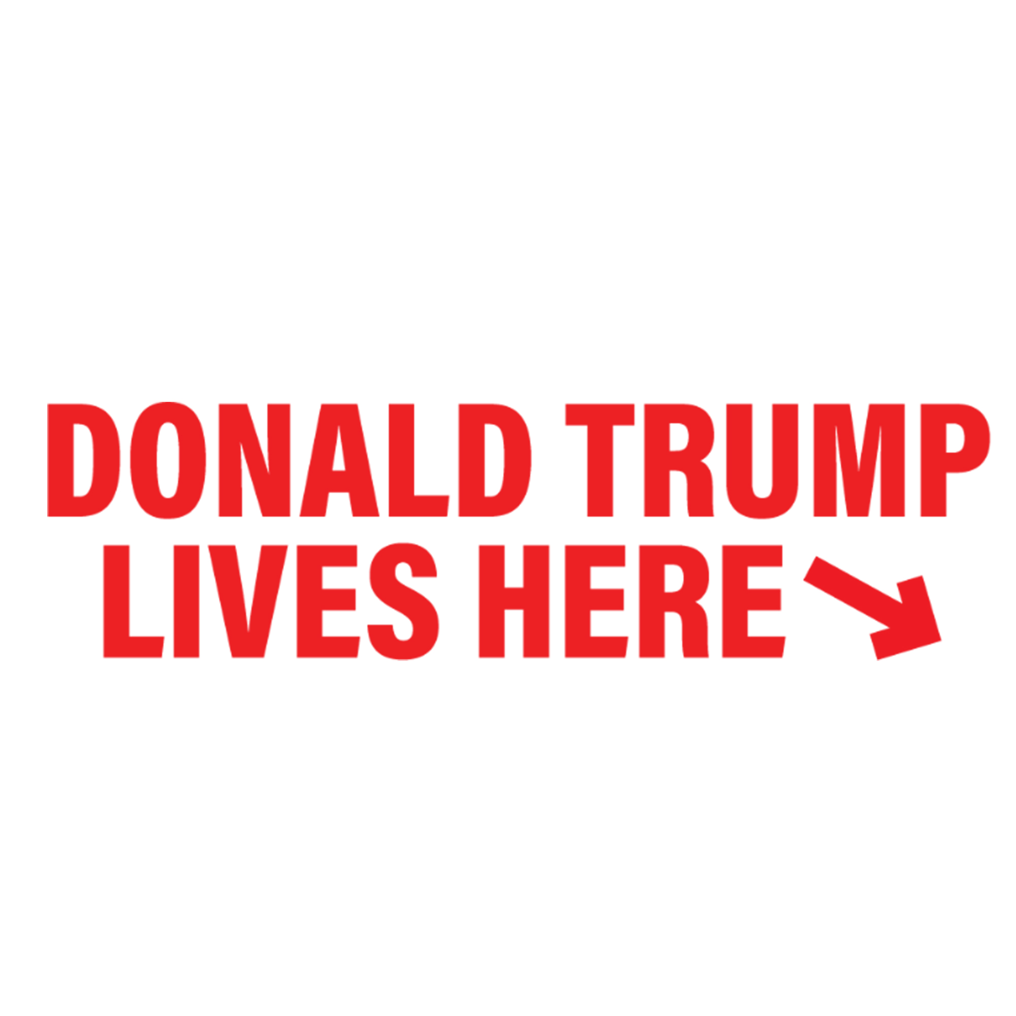 Donald Trump Lives Here Stamp hover